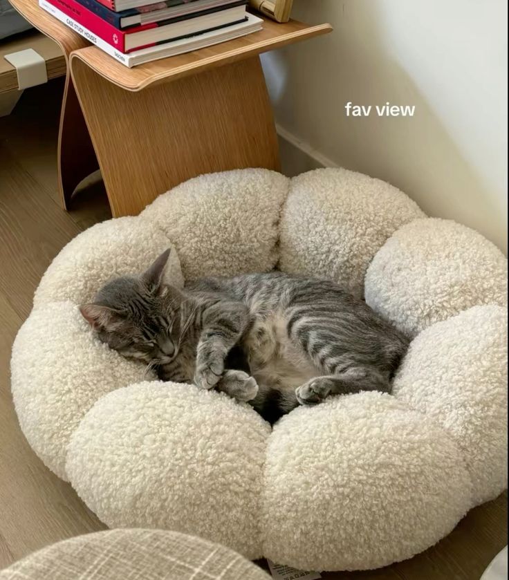 Amazon Bedroom Finds Everyone Is Buying  Upgrade your space with amazon bedroom finds that help create a cozy organized and comfortable bedroom  People are saving these bedroom products to upgrade their living spaces  Check out these customer favorite bedroom finds  #AmazonBedroomFinds #BedroomFinds #BedroomOrganization
